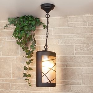 Изображение товара Уличный подвесной светильник IP44 H черный (GL 1017H) Elektrostandard Premier GL 1017H