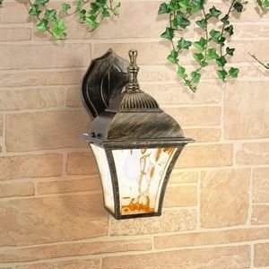 Изображение товара Настенный уличный фонарь IP33 1009D Elektrostandard Apus GL a043112