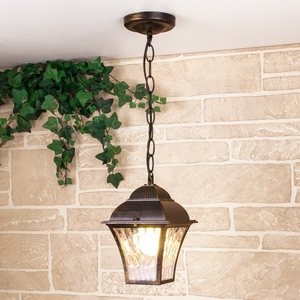 Изображение товара Уличный подвесной светильник IP33 1009H Elektrostandard Apus GL a043115