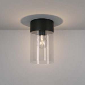 Изображение товара Уличный потолочный светильник IP43 Elektrostandard Atrani 35085/F