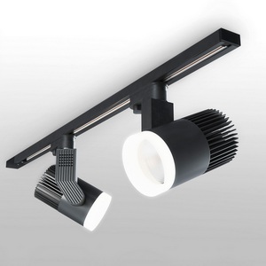 Изображение товара Трековый светильник однофазный 220V светодиодный Elektrostandard Accord LTB36