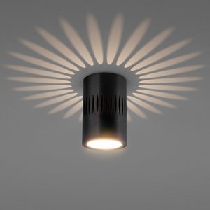 Изображение товара Накладной светильник светодиодный Elektrostandard DLS026