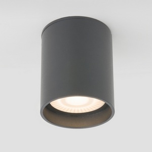 Изображение товара Потолочный светильник уличный светодиодный 35130/H IP54 Elektrostandard Light LED серый