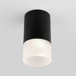 Изображение товара Потолочный светильник уличный IP54 светодиодный 35139/H Elektrostandard Light LED черный