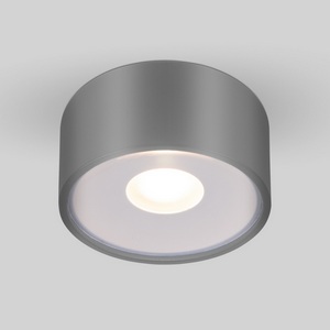 Изображение товара Потолочный светильник уличный светодиодный 35141/H IP65 Elektrostandard Light LED серый
