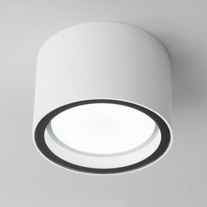 Изображение товара Потолочный светильник уличный IP54 35144/H Elektrostandard Light белый