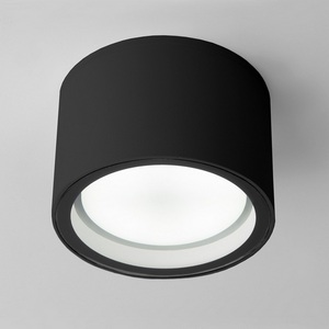 Изображение товара Потолочный светильник уличный IP54 35144/H Elektrostandard Light черный