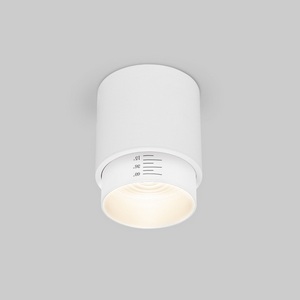 Изображение товара Накладной светильник светодиодный 10W белый Elektrostandard Cors 25032/LED