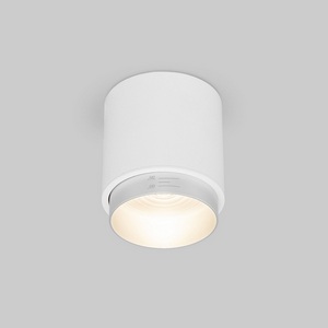 Изображение товара Накладной светильник светодиодный 10W белый/серебро Elektrostandard Cors 25032/LED