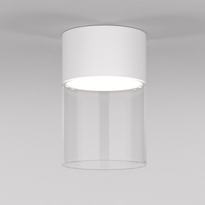 Изображение товара Светильник потолочный светодиодный Elektrostandard Lumen 25047/LED 10W 4000К белый/прозрачный