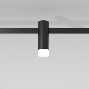 Изображение товара Трековый светильник низковольтный LED 24V Elektrostandard Esthetic Magnetic 3W 3000K (чёрный) 85116/01