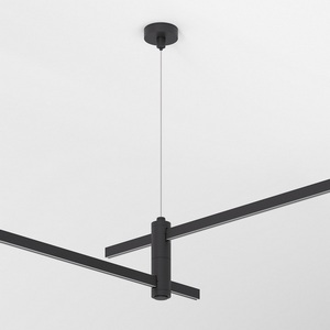 Изображение товара Набор для подвеса двойной Elektrostandard Esthetic Magnetic 85156/00