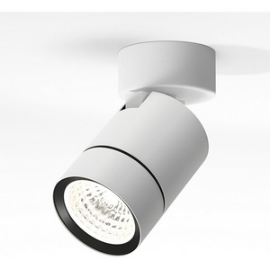 Изображение товара Спот Elektrostandard Niro 25013/01 GU10 белый