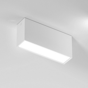 Изображение товара Потолочный светильник прямоугольный встраиваемый на 1 лампочку Elektrostandard Block 25109/LED 10W 4000K белый
