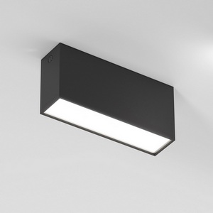 Изображение товара Светильник потолочный светодиодный Elektrostandard Block 25109/LED 10W 4000K черный