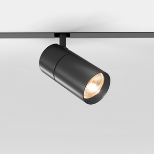 Изображение товара Трековый светильник светодиодный 48V магнитный Elektrostandard Slim Magnetic R02 85012/01 12W 3000K (черный)