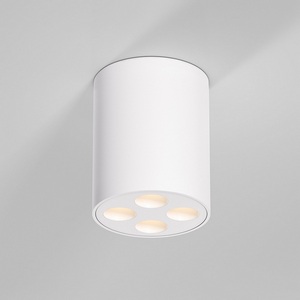 Изображение товара Светильник потолочный светодиодный Elektrostandard Points 25111/LED белый (128-4245)