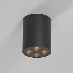 Изображение товара Светильник потолочный светодиодный Elektrostandard Points 25111/LED черный (128-4246)