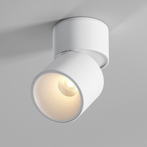 Изображение товара Светильник потолочный светодиодный Elektrostandard Rolly 25112/LED белый (128-4248)