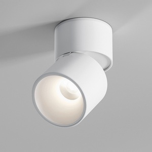 Изображение товара Светильник потолочный светодиодный Elektrostandard Rolly 25112/LED белый (128-4247)