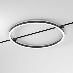 Изображение товара Трековый светильник светодиодный магнитный 26W 48V Elektrostandard Slim Magnetic 85523/01 4000K Most черный