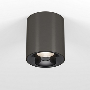 Изображение товара Потолочный светильник светодиодный Elektrostandard Primo 25116/LED 12W 4000K титан