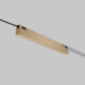 Изображение товара Блок питания 48В 150W Elektrostandard Line Magnetic Brass Line 95066/00 (латунь)