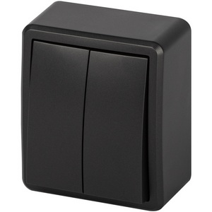 Изображение товара Выключатель накладной двухклавишный (антрацит) ЭРА 11-1204-05