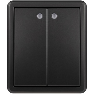 Изображение товара Выключатель двухклавишный с подсветкой (антрацит) ЭРА 11-1205-05 11-1205-05