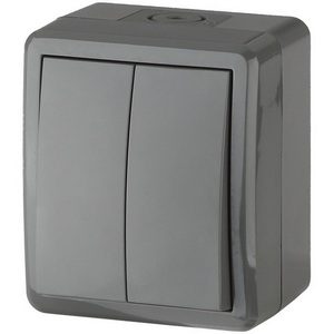 Изображение товара Выключатель накладной двухклавишный (серый) IP54 ЭРА 11-1404-03