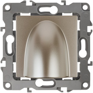 Изображение товара Вывод кабеля встраиваемый (шампань) ЭРА 12-6003-04