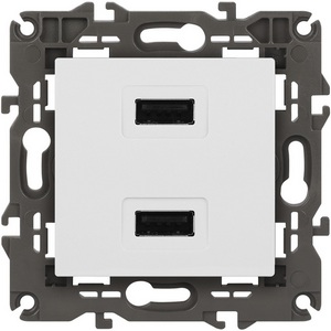 Изображение товара Розетка встраиваемая USBх2 (белый) ЭРА 14-4110-01