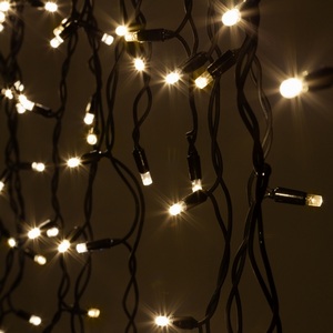 Изображение товара Гирлянда светодиодная Нить уличная 10 м теплый белый свет ЭРА ERAPS-NK10