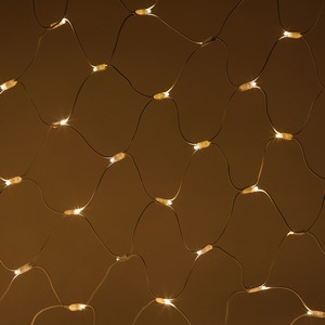 Изображение товара Гирлянда светодиодная Сети 3x2 м тёплый белый свет ЭРА ERAPS-SKW1