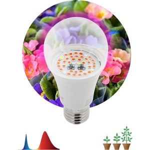Изображение товара Фитолампа E27 12 Вт ЭРА FITO-12W-RB-E27