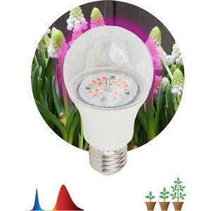 Изображение товара Фитолампа E27 14 Вт ЭРА FITO-14W-RB-E27-K