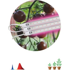Изображение товара Светильник для растений светодиодный ЭРА FITO-3х10W-LINE-RB90