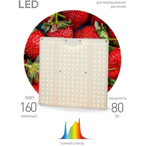 Изображение товара Светильник для растений светодиодный подвесной ЭРА FITO-80W-LED-QB