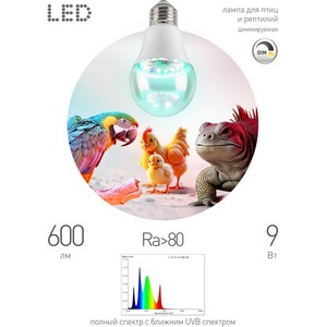 Изображение товара Лампа для птиц и рептилий с UVB спектром ЭРА FITO-Dim 9W Chicken E27