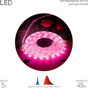 Изображение товара Светодиодная лента для растений 12V 5м ЭРА FITO-Strip Light-Rb-45W-5m-12V-IP65