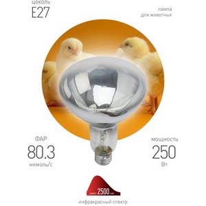 Изображение товара Лампочка инфракрасная E27 220 Вт ЭРА ИКЗ 220-250 R127 E27