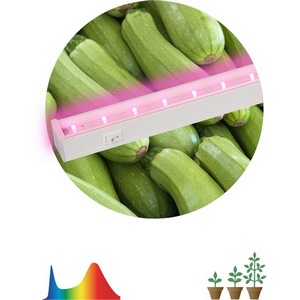 Изображение товара Светильник для растений светодиодный линейный ЭРА LLED-05-T5-FITO-9W-W