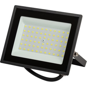 Изображение товара Прожектор уличный светодиодный ЭРА LPR-02 LPR-023-0-65K-050