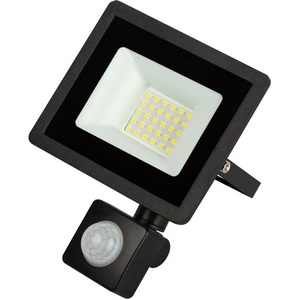 Изображение товара Прожектор уличный светодиодный с датчиком движения ЭРА LPR-04 LPR-042-2-65K-030