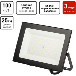 Изображение товара Прожектор уличный светодиодный ЭРА LPR-06 LPR-062-0-65K-070