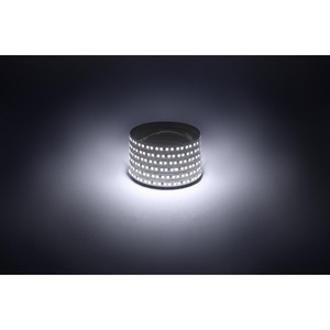 Изображение товара Светодиодная лента 12V 5м белый холодный ЭРА LS2835-14,4-180-12-6500K-IP20-1 year-5m