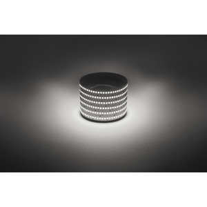Изображение товара Светодиодная лента 12V 5м белый дневной ЭРА LS2835-19,2-240-12-4000K-IP20-1 year-5m