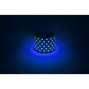 Изображение товара Светодиодная лента 12V 5м синий ЭРА LS5050-14,4-60-12-B-IP20-1 year-5m