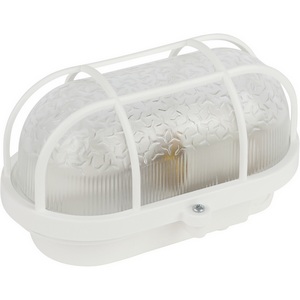 Изображение товара Настенно-потолочный светильник ЭРА НБП 01-60-002