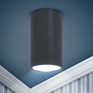 Изображение товара Точечный светильник ЭРА OL15 GU10 DG OL15 GU10 DG